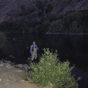 Meet your Posher, Betsy